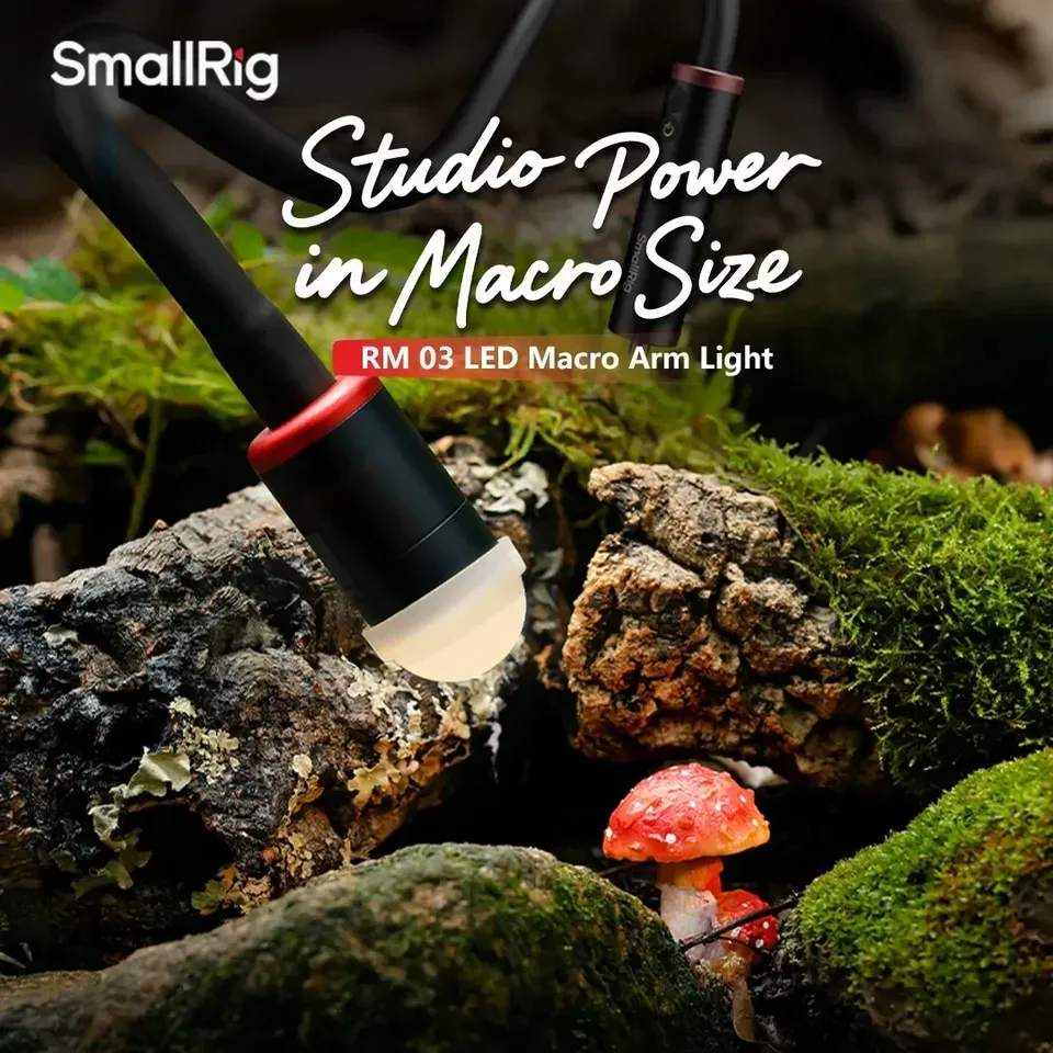 ل Smallrig RM-03 3 واط LED ماك - مراجعة Photography Lighting For Jewelry وسعره
