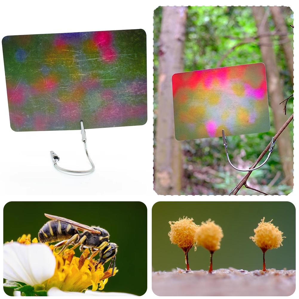 بطاقة خلفية للتصوير الماكرو بأ - مراجعة Photography Lighting Material وسعره